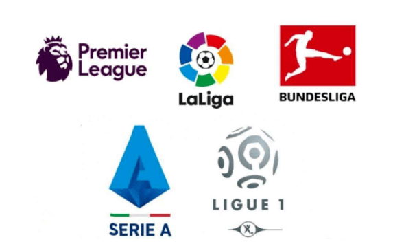 亦有高期待 亦有高期待